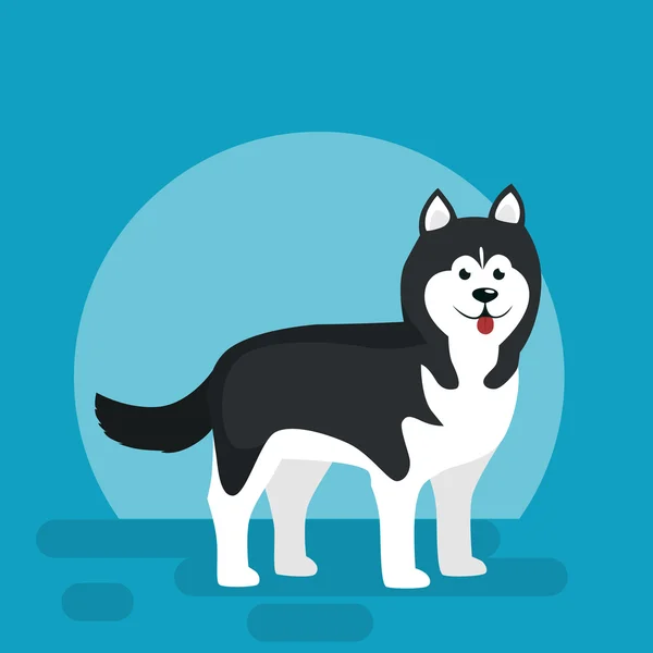 Isolated black and white young Husky, dog vector illustration — Stock Vector