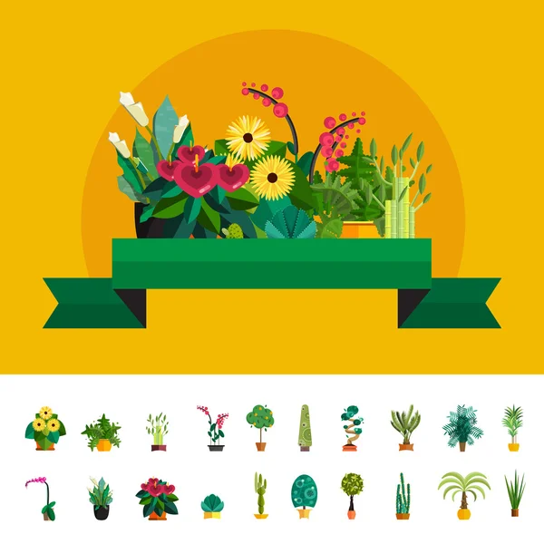 Gartenpflanzen, Topfblumen im Garten Vektor Illustration — Stockvektor