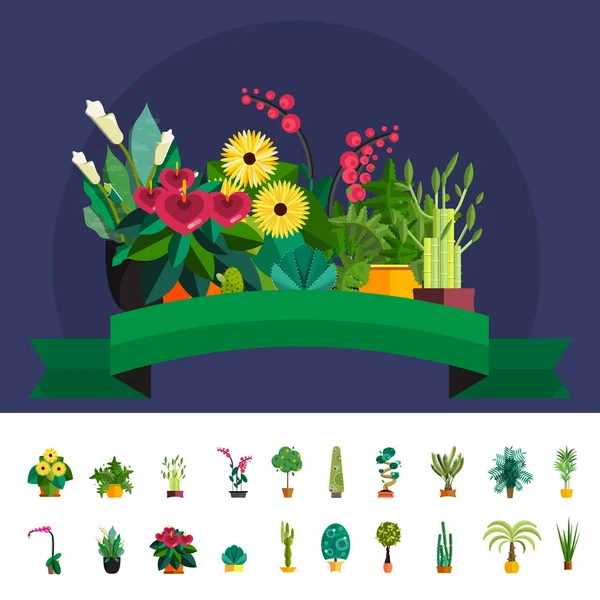 Plantas de jardín, Flores en maceta en el vector de jardín ilustración — Vector de stock