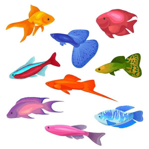 Aquariumvissen vector illustratie iconen set geïsoleerd op witte achtergrond. — Stockvector