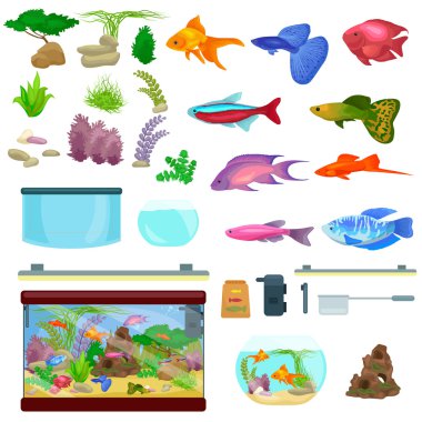 Fish tank, aquarium with water, animals, algae, corals, equipment clipart