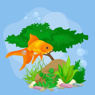 Balık, deniz yosunu ve kabarcıklar sualtı vektör dünya arka plan