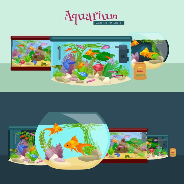 Fischbecken, Aquarium mit Wasser, Tiere, Algen, Korallen, Ausrüstung — Stockvektor