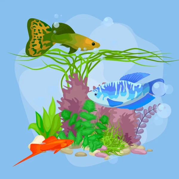 Unterwasservektorwelt Hintergrund mit Fischen, Algen und Blasen — Stockvektor