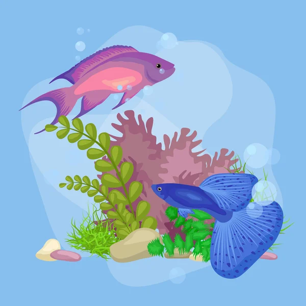 Latar belakang dunia vektor bawah air dengan ikan, rumput laut dan gelembung - Stok Vektor