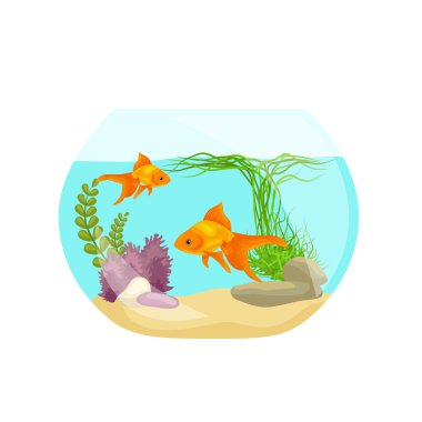 Akvaryum balık, deniz yosunu sualtı, deniz hayvan üzerinde beyaz izole