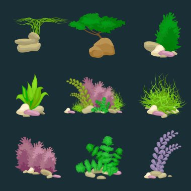 Set isolated colorful corals and algae, Vector underwater flora, fauna. clipart