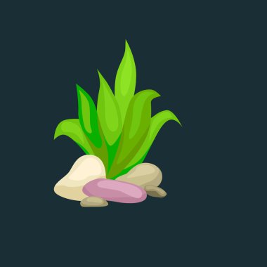 Deniz yosunu, izole renkli mercan ve yosun, vektör sualtı flora, fauna.