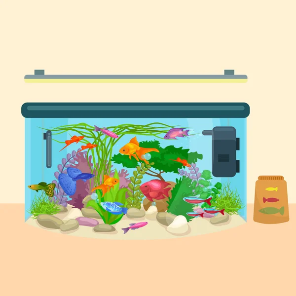 Aquarium, aquarium met water, dieren, algen, koralen, apparatuur — Stockvector