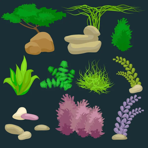 Diferentes tipos de algas y guijarros aislados en la oscuridad . — Archivo Imágenes Vectoriales