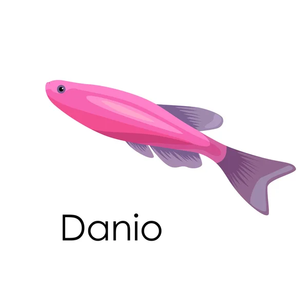 Pesci d'acquario Danio illustrazione vettoriale isolato su sfondo bianco . — Vettoriale Stock