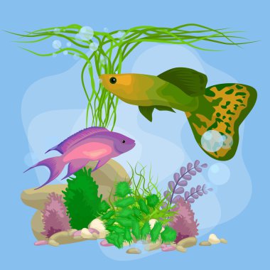 Balık, deniz yosunu ve kabarcıklar sualtı vektör dünya arka plan