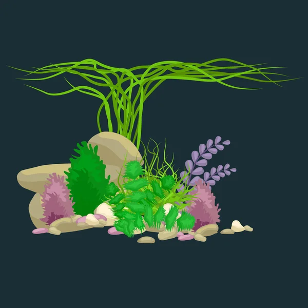 Conjunto isolado corais coloridos e algas, Vector flora subaquática, fauna . — Vetor de Stock