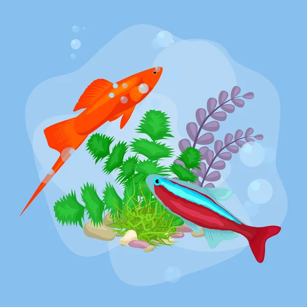 Underwater vector world background with fish, seaweed and bubbles — Stock Vector