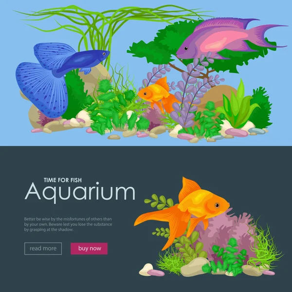 Аквариумные рыбы, морские водоросли под водой, шаблон баннера с морским животным — стоковый вектор