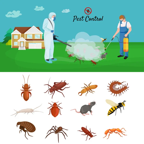 Pest control concept met insecten verdelger silhouet platte vectorillustratie — Stockvector