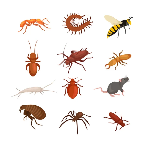 Concepto de control de plagas con insectos exterminador silueta plana vector ilustración — Archivo Imágenes Vectoriales