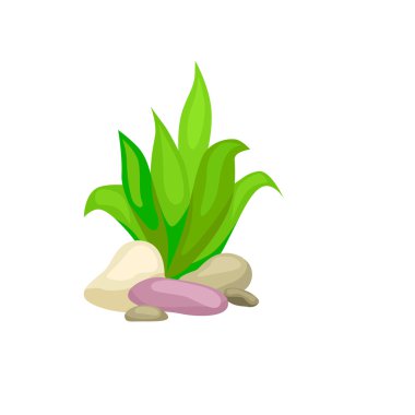 Deniz yosunu, izole renkli mercan ve yosun, vektör sualtı flora, fauna.