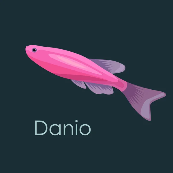 Pesci d'acquario Danio, illustrazione vettoriale isolata su fondo scuro . — Vettoriale Stock