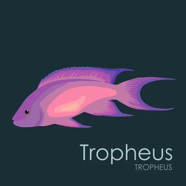 Pesci d'acquario Trofeo, illustrazione vettoriale isolata su sfondo scuro . — Vettoriale Stock