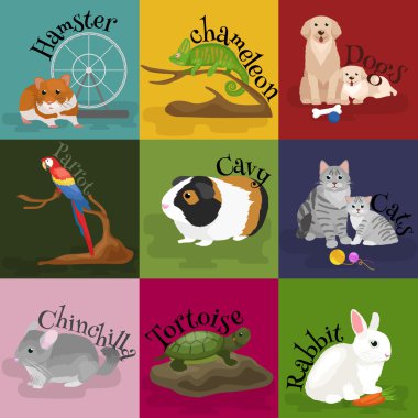 Ev evcil hayvan ayarla, kedi köpek papağan balığı hamster, Evcil hayvanlar