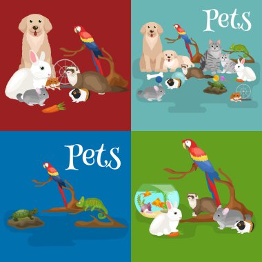 Ev evcil hayvan ayarla, kedi köpek papağan balığı hamster, Evcil hayvanlar