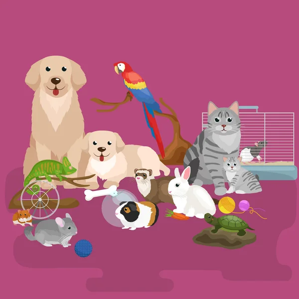 Inicio Conjunto mascotas, gato loro loro pez hámster, animales domesticados — Vector de stock