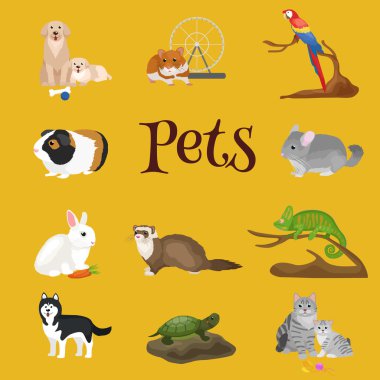 Ev evcil hayvan ayarla, kedi köpek papağan balığı hamster, Evcil hayvanlar