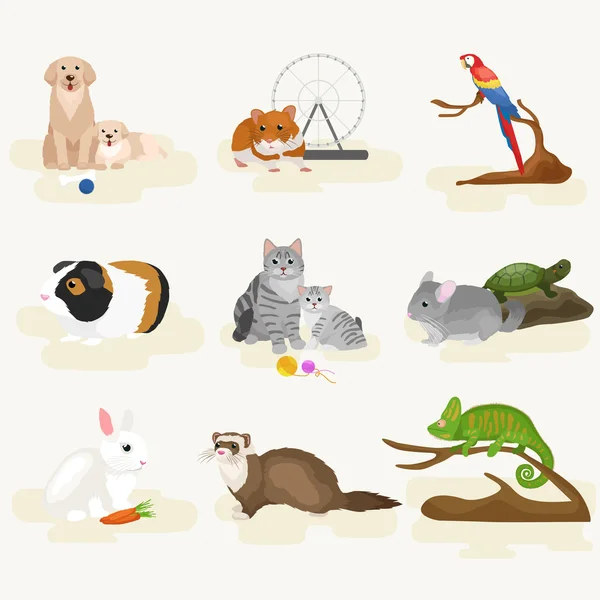 Set de animale de casă, pisică câine papagal hamster de pești aurii, animale domesticite — Vector de stoc