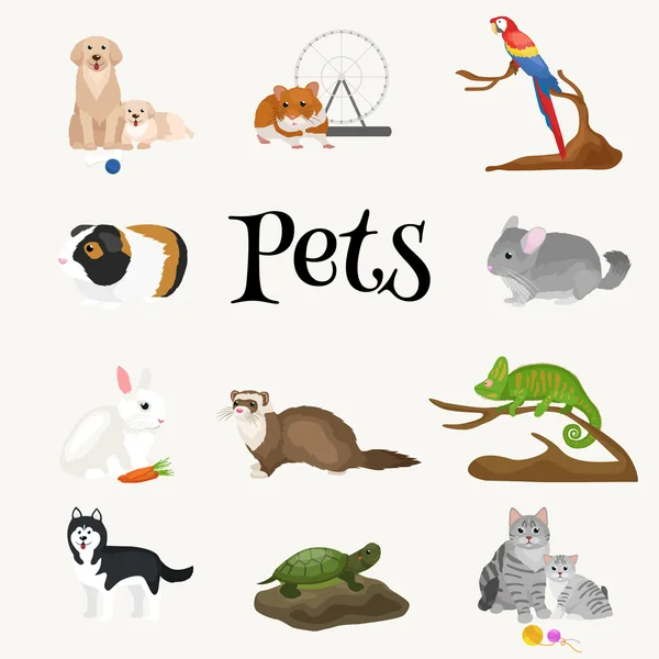 Casa animais de estimação conjunto, cão gato papagaio goldfish hamster, animais domesticados —  Vetores de Stock