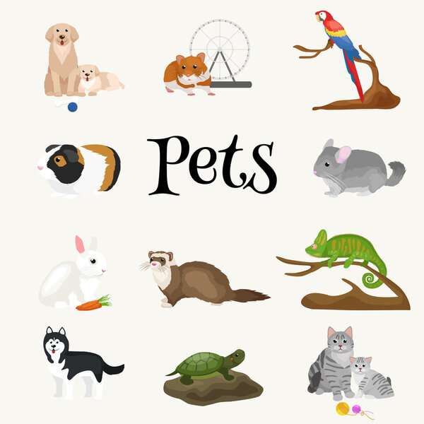 Home pets set, cat dog parrot goldfish hamster, domesticated animals