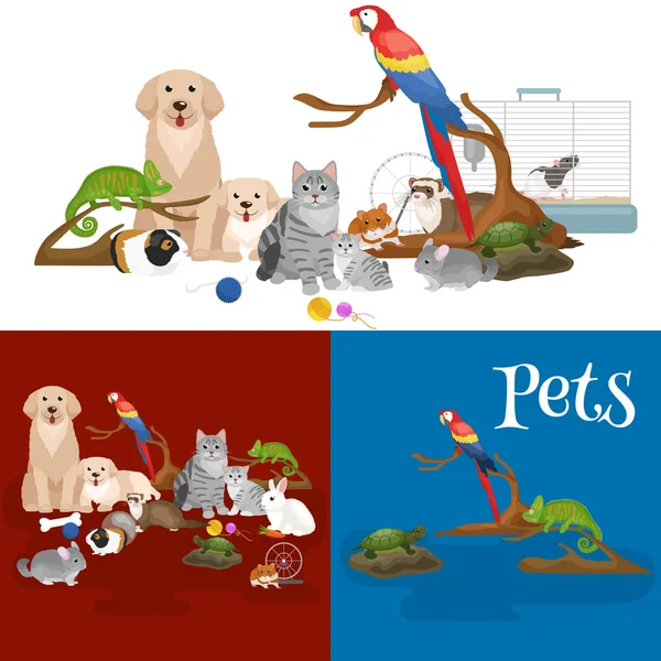 Inicio Conjunto mascotas, gato loro loro pez hámster, animales domesticados — Vector de stock