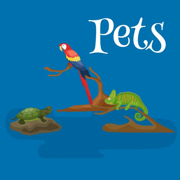 Accueil animaux de compagnie ensemble, chat chien perroquet poisson rouge hamster, animaux domestiques — Image vectorielle