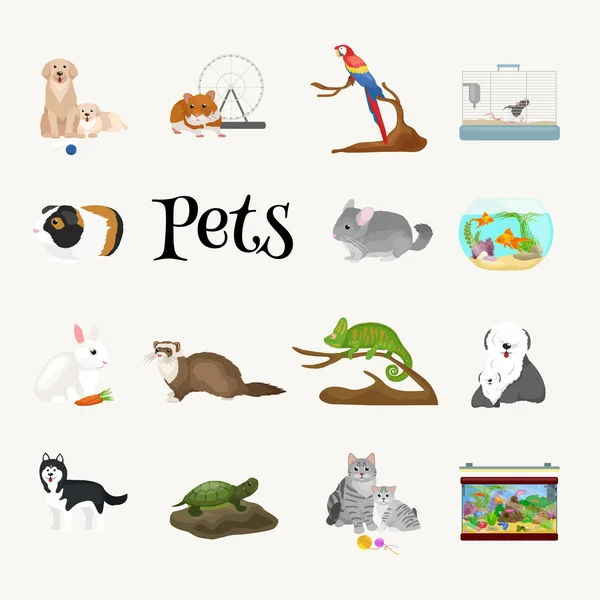 Home pets set, cat dog parrot goldfish hamster, domesticated animals — Stock Vector