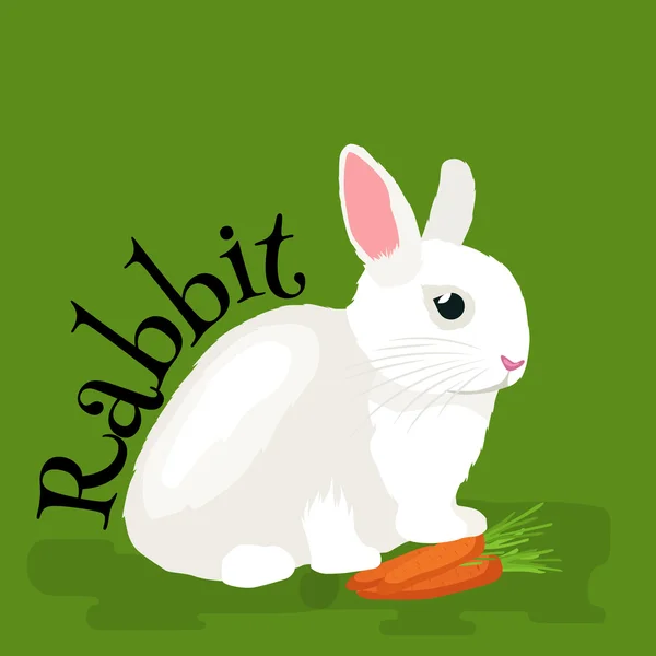 Ordinal numbers for teaching children counting with the ability to ...