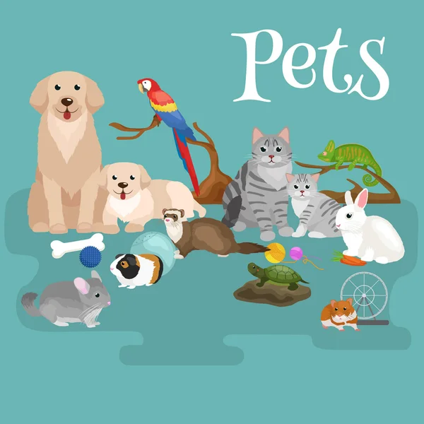 Inicio Conjunto mascotas, gato loro loro pez hámster, animales domesticados — Vector de stock