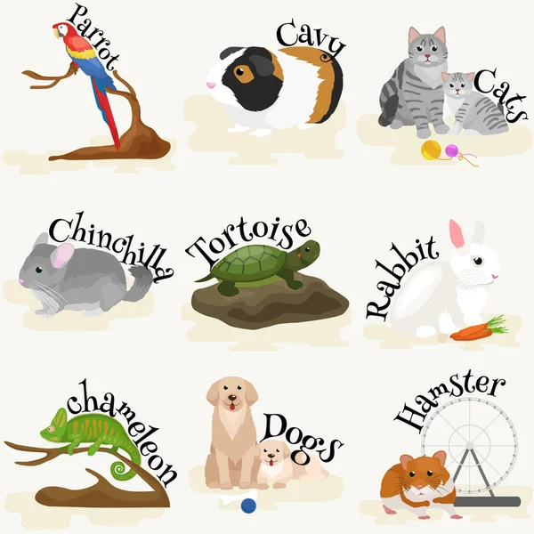 Accueil animaux de compagnie ensemble, chat chien perroquet poisson rouge hamster, animaux domestiques — Image vectorielle