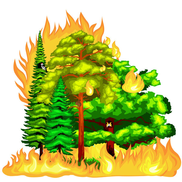 Forest Fire, fire in forest landscape damage, nature ecology disaster, hot burning trees, danger forest fire flame with smoke, blaze wood background vector illustration.Burning tree red and orange