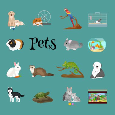 Ev evcil hayvan ayarla, kedi köpek papağan balığı hamster, Evcil hayvanlar