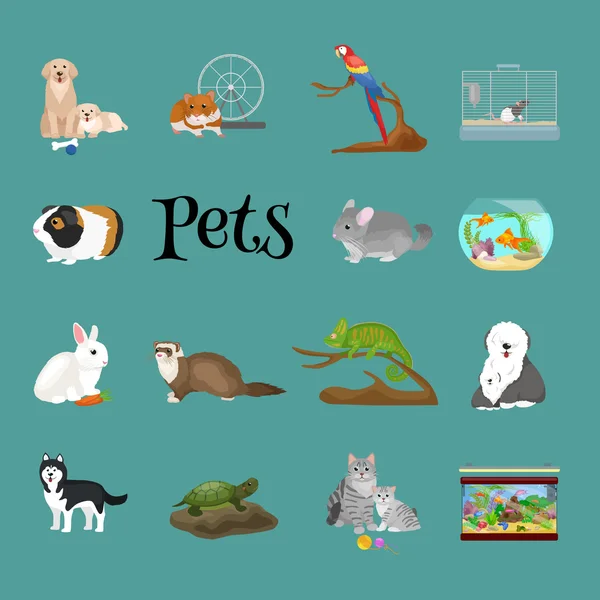 家养动物家庭宠物设置，猫狗鹦鹉金鱼仓鼠 — 图库矢量图片