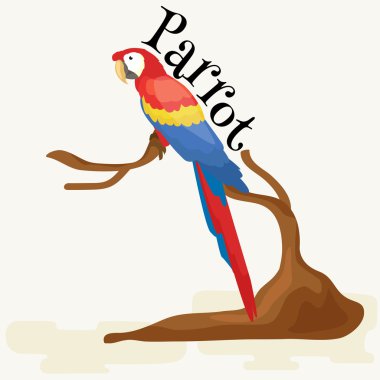 Evcil Hayvan, gaga ve kanatları, Evcil hayvan arka plan, beyaz vektör çizim sembollerin tropik kuş ile izole Amerika papağanı papağan