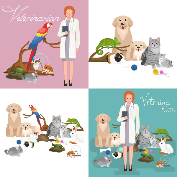 Group of pets and veterinary, doctor with animals patient — Stock Vector