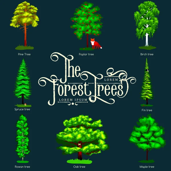 Yaz Yeşil Orman Ağacı karanlık arka plan üzerinde izole. Karikatür vektör açık parkta ağaçlar ayarlayın. Dal, foliagles ve yapraklar ile parkta Açık ağaçlar. Vahşi orman bitkileri ve hayvanlar. — Stok Vektör