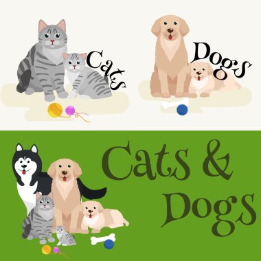 Kedi ve köpek birlikte yalan