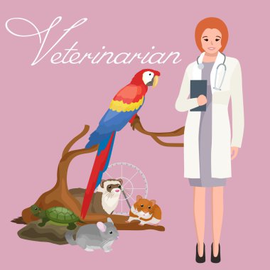 Evcil hayvan ve veteriner, hayvan hasta ile doktor grup