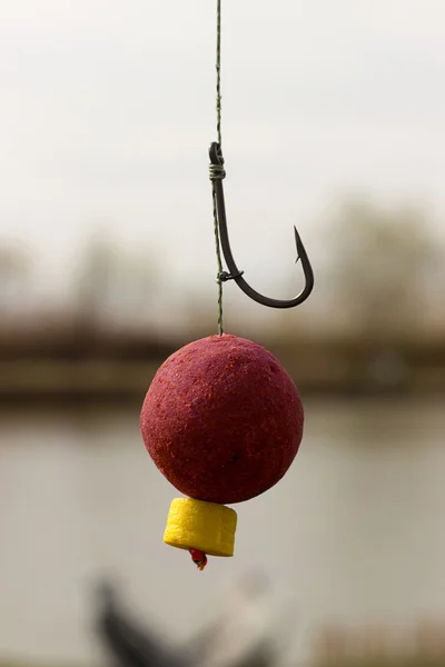 Carp Bait, Boili Hair, Blow Back Rig, Carp Hook — Stock Photo, Image