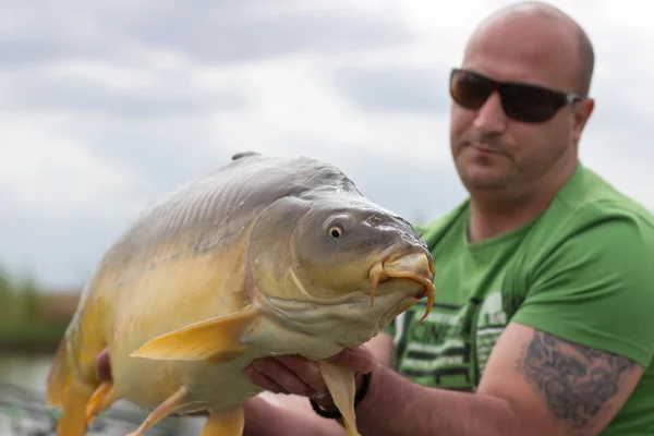 Carpa e Pescador, Troféu de pesca Carpa Foco seletivo e raso Profundidade de campo — Fotografia de Stock