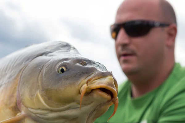 Carpa e Pescador, Troféu de pesca Carpa Foco seletivo e raso Profundidade de campo — Fotografia de Stock