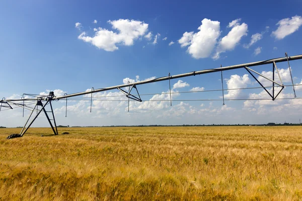 Equipamento de campo de trigo e irrigação — Fotografia de Stock