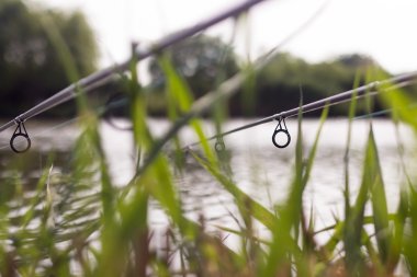 sazan balıkçılık çubuklar